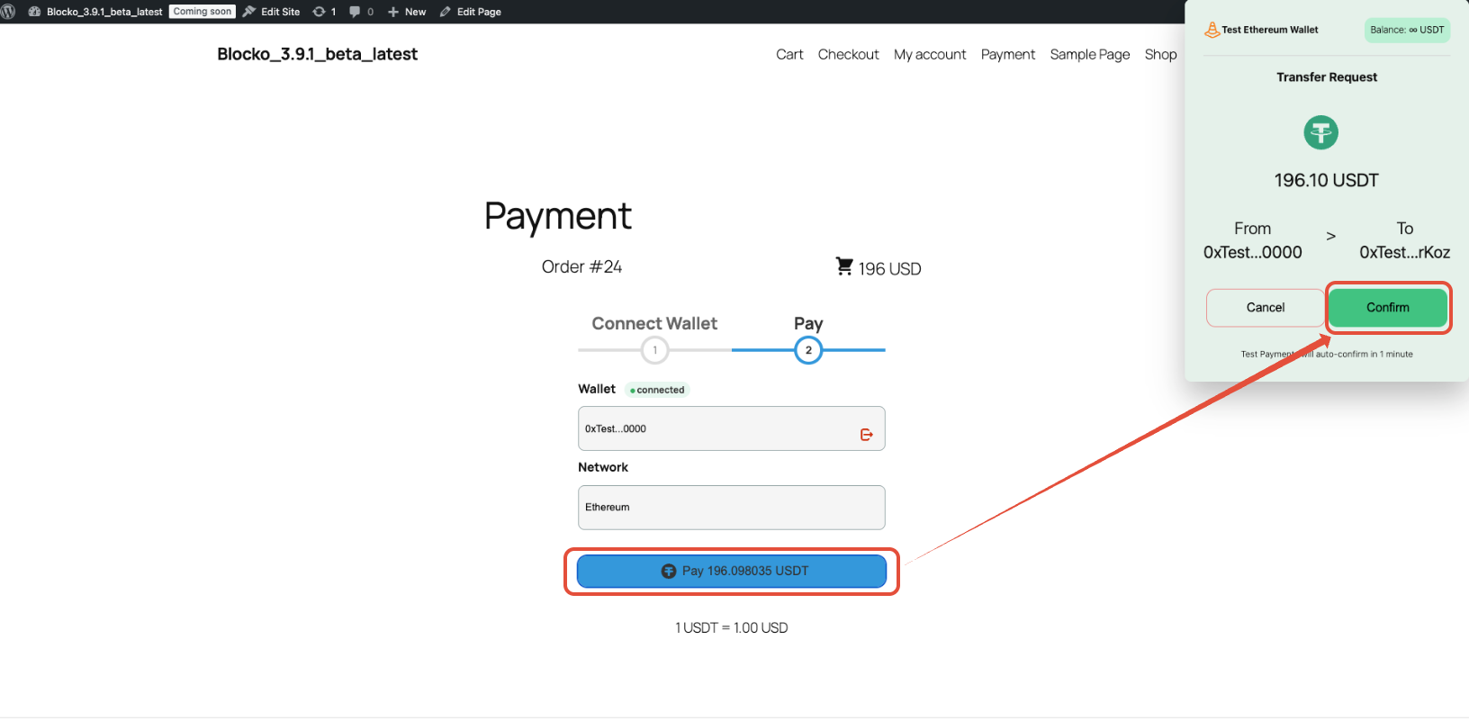 USDT checkout with test wallet connect and confirm